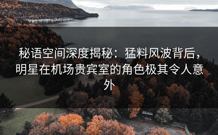 秘语空间深度揭秘：猛料风波背后，明星在机场贵宾室的角色极其令人意外