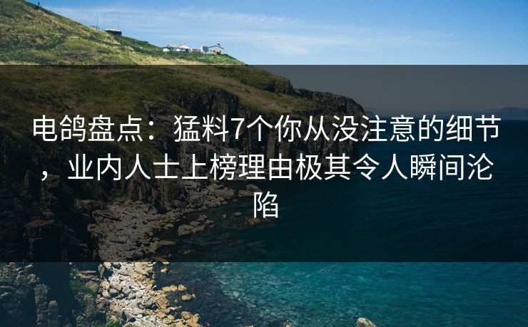 电鸽盘点：猛料7个你从没注意的细节，业内人士上榜理由极其令人瞬间沦陷