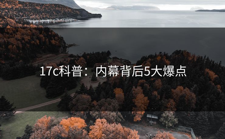 17c科普：内幕背后5大爆点