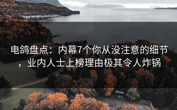 电鸽盘点:内幕7个你从没注意的细节,业内人士上榜理由极其令人炸锅 电鸽盘点:内幕7个你从没注意的细节,业内人士上榜理由极其令人炸锅