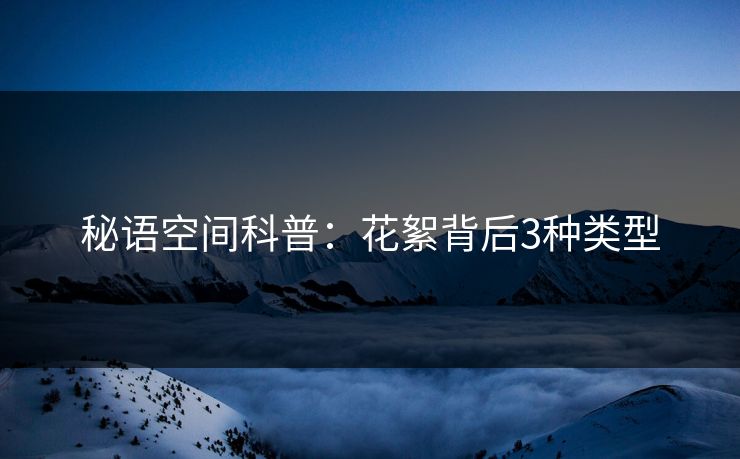 秘语空间科普:花絮背后3种类型 秘语空间科普:花絮背后3种类型