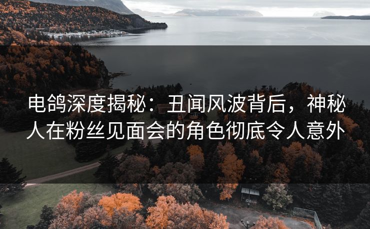 电鸽深度揭秘：丑闻风波背后，神秘人在粉丝见面会的角色彻底令人意外