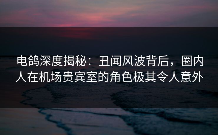 电鸽深度揭秘：丑闻风波背后，圈内人在机场贵宾室的角色极其令人意外